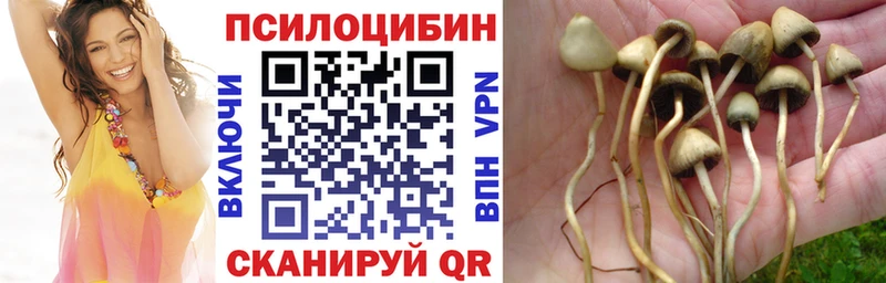 где продают Арсеньев Псилоцибиновые грибы MAGIC MUSHROOMS