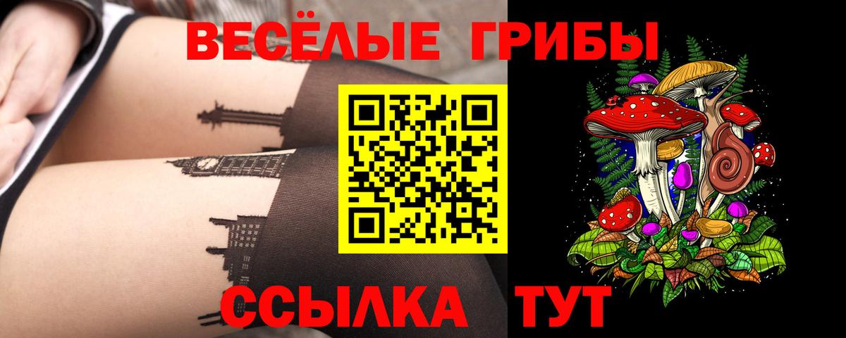 Арсеньев  Псилоцибиновые грибы GOLDEN TEACHER  как найти   Вход с VPN 